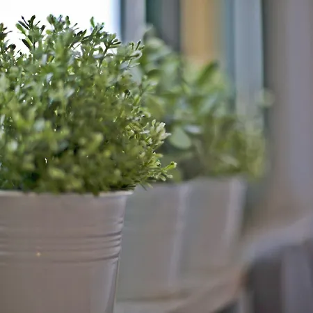 Apartamento Roses Stobrec